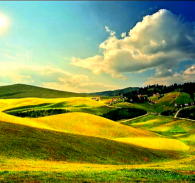 Хранители культурного наследия и обычаев – живописные пейзажи деревень Златибора с характерными соснами и цветочными полями.