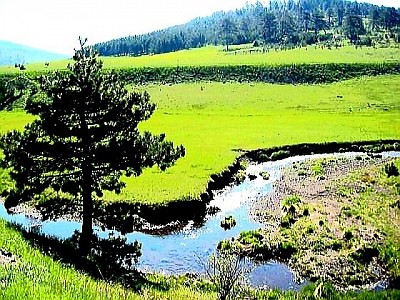 Красный горизонт над темными вершинами Муртеницы, солнце скрывается за холмами. Старые ворота из грубого дерева ведут на горное пастбище, окруженное каменной стеной. Узкие облака низко спускаются над лесистыми хребтами Драглицы. Белые тропинки из щебня извиваются среди пышной зелени лугов Златибора. Синий мох на северной стороне дуба, глубоко в горной расщелине. Вид с высоты птичьего полета на серые крыши деревень, торчащие из толстого зимнего снега. Букеты диких горных орхидей, спрятанные в высоком травяном ковре. Скалистый холм, возвышающийся над извилистыми изгибами каньона. Следы инея, превратившие обычные кустарники в прозрачные кристаллические ветви. Горная вершина, залитая первым утренним румянцем, в то время как долина еще погружена во тьму. Забытая деревянная телега на опушке леса, покрытая диким плющом. Группа высоких елей, стоящих, словно стражи, на самом краю пропасти. Резкий горный ветер создает волны в нетронутой высокой траве. Золотистая пыльца, парящая в воздухе в залитом солнцем лесу. Просвет. Замерзшая лужа на дороге, преломляющая цвета зимнего неба, словно призма. Крыши деревенских домов, с которых в январской тишине свисают длинные сосульки. Тропа, покрытая сосновыми шишками, ведущая в неизведанные уголки горы. Темный силуэт орла, кружащего высоко над скалистыми вершинами в поисках добычи. Известняковая скала, с которой холодная вода капает прямо в естественное каменное корыто. Тишина горных сумерек, где слышен лишь тихий шелест ветра в сосновых ветвях.