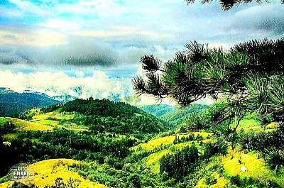 Златибор в прошлом – историческое изображение горного курорта и природы, какими они были много лет назад. Красный горизонт над темными вершинами Муртеницы в момент, когда солнце скрывается за холмом. Старые ворота из необработанного дерева, ведущие на горное пастбище, окруженное каменной стеной. Узкие облака, низко спускающиеся над лесистыми хребтами Драглицы. Белые тропинки из щебня, извивающиеся среди пышной зелени лугов Златибора. Синий мох на северной стороне дуба, глубоко в горной расщелине. Вид с высоты птичьего полета на серые крыши деревни, выступающие из толстого зимнего снега. Букеты диких горных орхидей, спрятанные в высоком травяном ковре. Скалистый холм, возвышающийся над извилистыми изгибами каньона. Следы мороза, превратившие обычные кустарники в прозрачные кристаллические ветви. Горная вершина, залитая первым утренним румянцем, в то время как долина еще погружена во тьму. Забытая деревянная повозка на опушке леса, покрытая диким плющом. Группа высоких елей, стоящих, словно стражи, на самом краю оврага. Резкий горный ветер колышет нетронутую высокую траву. Золотистая пыльца витает в воздухе на залитой солнцем лесной поляне. Замерзшая лужа на дороге преломляет цвета зимнего неба, словно призма. Крыши деревенских домов, с которых в тишине января свисают длинные сосульки. Тропа, покрытая сосновыми шишками, ведет в неизведанные уголки горы. Темный силуэт орла, кружащего высоко над скалистыми вершинами в поисках добычи. Известняковая скала, из которой холодная вода капает прямо в естественное каменное корыто. Тишина горных сумерек, где слышен лишь тихий шепот ветра в ветвях сосен.