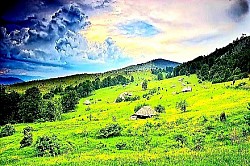 Ветер гонит облака над краем горного хребта на задний план. Густые папоротники, полностью покрывающие лесную подстилку под вековыми буками. Сухая трава Златибора шелестит под шагами на открытом поле. Тишина горной вершины, лишь изредка нарушаемая карканьем ворон. Блеск солнца на металлической крыше отдаленной хижины посреди зеленой равнины. Поля горных бархатцев, колышущихся на ветру, словно белый хлопок. Огромные каменные плиты, сложенные одна на другую на голой поляне. Глубокие овраги в красном суглинке Златибора после сильной летней бури. Сосны с искривленными стволами, тянущиеся в направлении преобладающих ветров. Опушка леса, где темно-зеленые хвойные деревья смешиваются с ярко-желтыми листьями березы. Вид на Торник с соседнего холма, когда канатная дорога прорезает горную тишину. Крупные капли росы на листьях земляники, спрятанных в высокой траве.