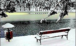 Группа стройных сосен, растущих на почти голой скале. Синий туман, витающий в низинах между холмами на закате. Острые кристаллы инея на колючей проволоке, окаймляющей горное поместье. Ветер, отгоняющий облака за край горного массива. Густой папоротник, полностью покрывающий лесную подстилку под вековыми буками. Сухая трава Златибора шелестит под шагами на открытом поле. Тишина горной вершины, лишь изредка нарушаемая карканьем ворон. Ветер, отгоняющий облака за край горного массива. Густой папоротник, полностью покрывающий лесную подстилку под вековыми буками. Сухая трава Златибора шелестит под шагами на открытом поле. Тишина горной вершины, лишь изредка нарушаемая карканьем ворон. Блеск солнца на металлической крыше далекой хижины посреди зеленой равнины.