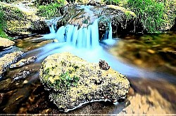 Острые каменные скалы Златибора, отвесно спускающиеся в долину, покрытую густым лесом. Поляна, усыпанная полевыми цветами, на склонах Златибора, благоухающая чистым горным воздухом. Лучи света, пробивающиеся сквозь кроны елей Златибора и освещающие тайные лесные тропы. Поверхность озер Златибора, отражающая девственно-голубое небо, как зеркало. Панорамный вид на золотистые поля травы Златибора под сильными порывами ветра из Муртеницы. Поверхность озер Златибора, отражающая девственно-голубое небо, как зеркало. Панорамный вид на золотистые поля травы Златибора под сильными порывами ветра из Муртеницы. Ветви можжевельника Златибора с голубыми плодами, прорастающими прямо из серого известняка. Стадо коров, пасущихся в Златиборе под высокими скалами, защищающими скот от горных бурь. Снежные заносы вдоль проселочных дорог Златибора, отбрасывающие глубокие тени поздним вечером.