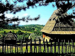 Родниковая вода Златибора, стекающая по скалам, покрытым темно-зеленым влажным мхом. Одинокая сосна Златибора на скалистом холме, бросающая вызов суровым горным зимам. Следы инея на ягодах дикого боярышника рядом со старым деревянным забором Златибора. Высокие вершины Златибора, окутанные голубоватой дымкой в ​​момент захода солнца. Двор деревни на Златиборе со сложенными бревнами на долгую и холодную зиму. Дорога, исчезающая в густом лесу Златибора, над которой парят золотые орлы. Цветочный ковер из фиалок на опушке леса Златибора в первые дни весны. Стены старого дома на Златиборе, медленно, но верно сливающиеся с природным ландшафтом. Узкое ущелье Златибора с быстротекущим ручьем, образующим белую пену на камнях. Склоны Златибора, покрытые папоротниками, которые осенью приобретают ярко-медный цвет.