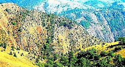 Сельский двор на Златиборе со сложенными бревнами на долгую и холодную зиму. Дорога, исчезающая в густом лесу Златибора, над которой парят золотые орлы. Цветочный ковер из фиалок на опушке леса Златибора в первые дни весны. Стены старого дома на Златиборе, медленно, но верно сливающиеся с природным ландшафтом. Узкое ущелье Златибора с быстротекущим ручьем, создающим белую пену на камнях. Склон Златибора, покрытый папоротниками, которые осенью приобретают ярко-медный цвет. Вершины хвойных деревьев Златибора, возвышающиеся над толстым слоем белых облаков в долине. Тишина отдаленных деревень Златибора, где время, кажется, остановилось в прошлом веке. Резкий воздух Златибора, преломляющий свет над заснеженными горными хребтами. Красные плоды шиповника на кустах Златибора рядом с каменной стеной старого горного дома. Небо над Златибором полно Звезды над темными силуэтами густого леса