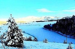 Круговые образования из низких сосен Златибора на поляне, напоминающие естественные укрытия. Белая известняковая осыпь Златибора, спускающаяся по крутому склону к зеленому кустарнику. Вид с вершин Златибора на горные хребты вдали, переливающиеся фиолетовыми оттенками. Златиборская овчарка, преданно наблюдающая за стадом с вершины скалистого холма. Острый папоротник Златибор, пробивающийся из дупел старых пней срубленных деревьев. Дикая яблоня Златибора в цвету посреди горного пастбища, окруженного абсолютной тишиной. Небольшой деревянный мостик через быструю реку Златибор в глубокой тени высоких пихт. Слои сухих хвои Златибора, скрывающие лесную тропу и образующие мягкую поверхность.