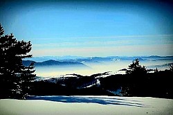 Мох на северной стороне каменной стены старой церкви Златибора, утопающей в горной тишине. Восход солнца над Златибором из-за массива Златар. Одинокий источник холодных родниковых вод Златибора рядом с извилистой горной дорогой. Высокие буки Златибора с серебристой корой выделяются на фоне хвойных лесов. Кристаллы льда на высохшей траве Златибора сверкают под первыми лучами солнца. Глубокие борозды на каменистой дороге Златибора, омываемые обильными горными дождями. Круговые образования низких сосен Златибора на поляне, похожие на естественные укрытия и освещающие глубокие горные долины. Короткая трава Златибора, сильно гнущаяся под сильными порывами ветра на голой вершине. Высоко парящие орлы над каньонами Златибора в поисках добычи на недоступных скалах. Одинокий источник холодных родниковых вод Златибора у извилистой горной дороги.