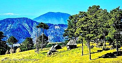 Огромная груда камней на самой вершине холма, служащая ориентиром для туристов. Вихревой снежный покров, поднимаемый ветром с замерзших пастбищ Златибора. Старая сосна с голыми корнями, цепляющаяся за скалистый склон. Светло-серая кора букового леса, мерцающая в лунном свете, как металл. Одинокая горная тропа, покрытая мелким гравием, ведущая в неизвестность. Красный горизонт над темными горными очертаниями за несколько минут до полной темноты. Длинные ледяные свечи, свисающие с каменных секций над горной дорогой. Серебристые перья горной травы, мерцающие от малейшего дуновения ветра. Заброшенный каменный колодец посреди обширного луга, окруженного высокими папоротниками. Темно-зеленый бархатистый ковер мха на южной стороне влажной лесной лощины.