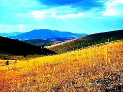 Опушка леса, где темно-зеленые хвойные деревья смешиваются с ярко-желтыми листьями березы. Вид на Торник с соседнего холма, когда канатная дорога прорезает горную тишину. Крупные капли росы на листьях земляники, скрытых в высокой траве. Серая дымка, окутывающая ели поздними осенними вечерами. Естественный скальный амфитеатр, заполненный низкорослой горной растительностью и можжевельником. Узкие козьи тропы, пролегающие по крутым и натянутым склонам гор. Отражения лунного света на замерзших склонах, похожие на литое серебро. Старые пахотные борозды на заброшенных полях, отвоеванных природой. Группа сосен на поляне, похожих на естественных стражей над оврагом. Желтые лишайники, полностью покрывающие южную сторону скалистого хребта. Пар, поднимающийся от горной дороги, когда солнце появляется после дождя. Непрерывная цепь холмов, исчезающих в далекой дымке в сторону Боснии.