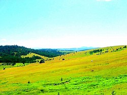 Одинокая горная тропа, покрытая мелким гравием, ведущая в неизвестность. Красный горизонт над темными горными очертаниями в несколько минут перед полной темнотой. Длинные ледяные свечи, свисающие с каменистых участков над горной дорогой. Серебристые перья горной травы, мерцающие от малейшего дуновения ветра. Заброшенный каменный колодец посреди обширного луга, окруженного высокими папоротниками. Темно-зеленый бархатный ковер из мха на южной стороне влажной лесной лощины. Высокое напряжение тишины на вершине горы, где слышно только собственное дыхание. Скопления сухих веток и листьев, переносимые горным потоком вдоль елей. Вспышка горного источника, переливающегося через край деревянного водопоя. Следы тормозов и плугов на крутом поле, спускающемся прямо в каньон. Мягкая текстура листьев можжевельника, пробивающихся из сухого карста Златибора.