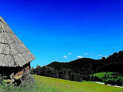 Группа высоких сосен, торчащих из тумана, словно мачты затонувшего корабля. Каменные плиты, покрытые лишайником, образующие естественные ступени на склоне. Солнце, преломляющееся сквозь плотную дождевую завесу, создающее радугу над Муртеницей. Запах влажной земли и гниющих листьев в глубоких расщелинах Златиборских лесов. Низкие кусты черники, приобретающие осенью цвет темного вина. Узкое ущелье, через которое постоянно воет ветер, создавая горную музыку. Слоистые облака, нагромождающиеся на вершинах, словно тяжелая шерсть. Отражения деревьев в лодках на дороге, похожие на абстрактные картины. Дикая орхидея, цветущая в одиночестве в укрытии большой известняковой скалы.