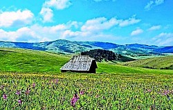 Замерзший водопад Златибор на небольшом ручье, напоминающем стеклянную скульптуру посреди зимней горной местности. Аромат смолы Златибора, витающий в воздухе на теплой лесной поляне летним днем. Острая трещина в каменной скале Златибора, из которой вырастает крепкая сосна, бросающая вызов суровым горным условиям. Узкий лесной проход Златибора, сквозь который в голубоватой дымке виднеется далекий горный хребет. Наклонный деревянный забор Златибора, тянущийся вдоль холма, пока не исчезает в густых хвойных зарослях. Вихри тумана Златибора, переливающиеся через край каньона и создающие иллюзию белого водопада. Темно-зеленая поверхность хвойных деревьев Златибора пересекается яркими линиями холодных горных ручьев. Старый пень Златибора, покрытый разноцветными грибами и густым мхом. Глубокая тень ели. Блоки залатиборского известняка, разбросанные по пастбищу, словно остатки древнего здания в карсте. Лучи залатиборского солнца, преломляющиеся сквозь капли дождевой воды на острых иголках черной сосны. Вид на деревню Драглица в Златиборе, где дым из дымохода вертикально прорезает резкий горный воздух. Дикая залатиборская ежевика, ползущая по серым камням на самом краю горной дороги. Высокая залатиборская трава, полностью полегшая под тяжестью первого и сурового осеннего мороза. Серый залатиборский ястреб на сухой ветке, неподвижно осматривающий местность горного плато. Плато на вершинах Златиборской Муртеницы, где ветер придает кронам деревьев причудливые и искаженные формы. Сухой залатиборский хвойный покров, заглушающий каждый звук шагов в глубине многовекового леса. Короткие залатиборские тени в полдень на голой скалистой вершине под идеально голубым небом. Мягкий залатиборский мох. Полностью скрывающие корни многовековых деревьев в горных расщелинах. Тихая долина Златибор, наполненная ароматом полевых цветов и постоянным жужжанием пчел. Край ущелья Златибор, с которого открывается вид на тысячи оттенков лесов в каньоне внизу. Старый каменный фонтан Златибор, из которого ледяная вода течет в деревенский деревянный корыто. Свинцово-желтое небо над заснеженными склонами Златибора, возвещающее о новой горной метели. Серебристое отражение рек Златибора вдали между двумя большими лесистыми холмами. Крошечные белые цветки ромашки, разбросанные по сухой почве Златибора на открытых полянах. Группа высоких берез Златибора, сияющих, как белые столбы, в темной хвойной среде.