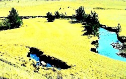 Вершина горы Златибор, полностью обнаженная ветром, с которой открывается вид на весь регион. Старая каменная обочина Златиборской дороги, заросшая лишайником, на грани забвения. Тени сосен Златибора, бесконечно простирающиеся по золотистым полям в сумерках. Группа диких кабанов, быстро пересекающих лесную поляну Златибора в сумерках. Роса на паутине, натянутой между боярышником и колючими кустарниками Златибора. Серый ястреб Златибора в низком полете над скалистыми пастбищами и глубокими бухтами. Замерзший водопад Златибора на небольшом ручье, похожий на стеклянную скульптуру посреди горной зимы. Запах смолы Златибора, распространяющийся по воздуху на прогретой лесной поляне летним днем. Острая трещина в каменной скале Златибора, из которой вырастает крепкая сосна, бросающая вызов суровым горным условиям. Узкий лесной проход Златибора, через который можно увидеть далекий горный хребет в голубоватом тумане. Кривой деревянный забор Златибора, тянущийся вдоль холм, пока не скроется в густых хвойных лесах.