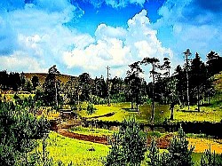 Златиборская овчарка преданно наблюдает за стадом с вершины скалистого холма. Острый златиборский папоротник, пробивающийся из дупел старых пней срубленных деревьев. Дикая златиборская яблоня в цвету посреди горного пастбища, окруженного абсолютной тишиной. Небольшой деревянный мостик через быстрый златиборский ручей в глубокой тени высоких пихт. Слои сухих хвойных деревьев Златибора, покрывающие лесную тропу и создающие мягкую поверхность. Вершина горы Златибор, полностью обнаженная ветром, открывает вид на весь регион. Старая каменная обочина Златиборской дороги, заросшая лишайником, на грани забвения. Тени златиборских сосен, бесконечно простирающиеся по золотистым полям в сумерках. Группа диких кабанов, быстро пересекающих златиборскую лесную поляну в сумерках. Роса на паутине, натянутой между боярышником и колючими кустарниками Златибора. Серый золотой орел в низком полете над скалистыми пастбищами и глубокими бухтами.