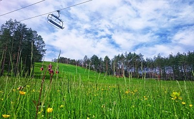 Златибор Хелс