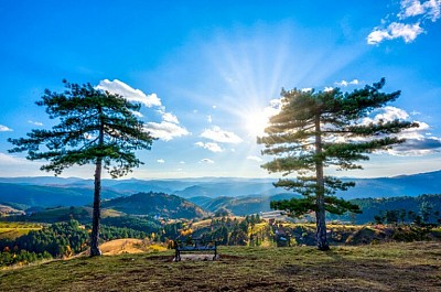 Роза ветров Златибора
